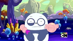 2022-07-22 1745pm We Baby Bears