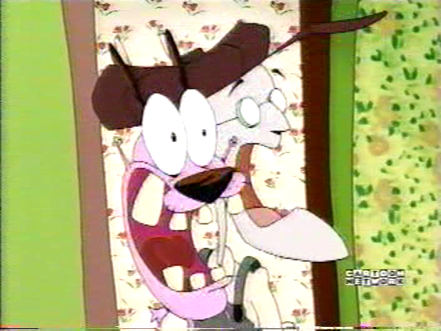 All 446 CARTOONS That Aired on Cartoon Network Ever (1992-2022) 