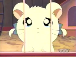2003-11-24 0900am Hamtaro