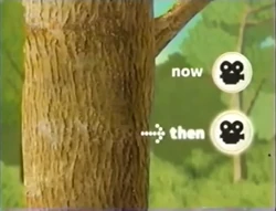 NowThenCabinFever (D)