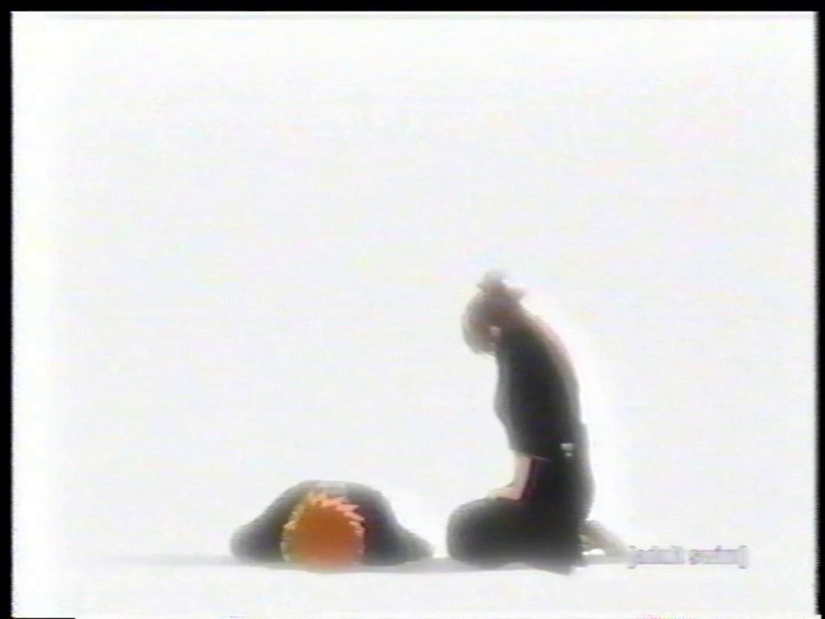 The Birthday/THE VIDEOS+DOCS SEP 2005-N… The Happy Birthday Video (1996) VHS Video Cover Art