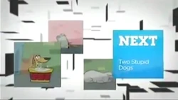 CheckIt - TwoStupidDogs