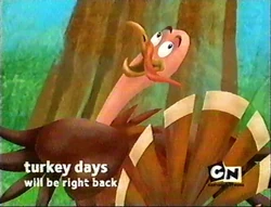 Turkey Days WBRB Bumper