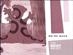 The Best We Got BTTS Bumper 12