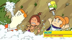 Cndimensional20cotc5