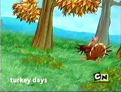Turkey Days Bumper