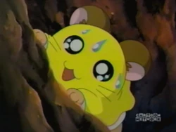 2003-11-20 0900am Hamtaro