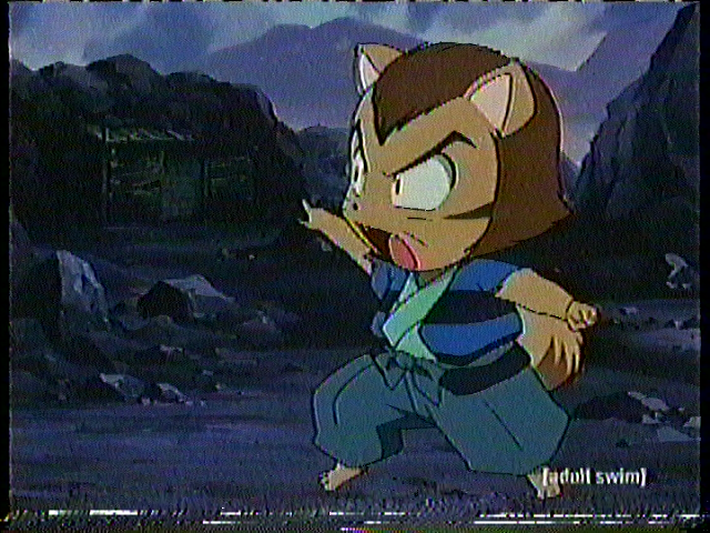April 13, 2005 | Cartoon Network/Adult Swim Archives Wiki