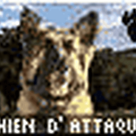 Attack Dog Red Alert 1 Command And Conquer Wiki Fandom