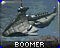 YR Boomer Icons.png