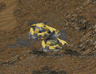 Damaged TWI Tiberium silos in Tiberian Sun