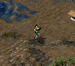 In-game sprite