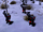 Flak trooper (Red Alert 3)