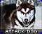 RA2 Soviet Attack Dog Icons.png