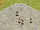 Terrorist (Red Alert 2)