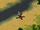 Flak cannon (Red Alert 2)
