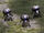 Shock trooper (Tiberium Wars)