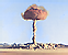 Unused Tactical Nuke Strike icon