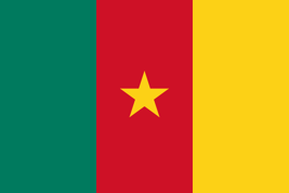 Flag of Cameroon