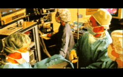  continued to exact a heavy toll on the human race during and after the First Tiberium War. It's expansion across the globe continued exponentially until much of the world was uninhabitable to normal humans.