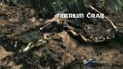 Tiberium carb.jpg