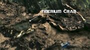 Tiberium carb