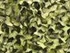 Camo netting (ZH only)