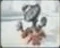 CNCRA2 Radar Tower Alpha Cameo.png