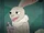 Miracle Rabbit (Character)