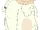 Bassoon