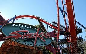 SheiKra - Floorless Dive Roller Coaster