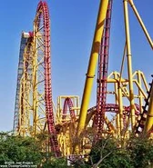 Images (49).jpg (15 KB) Part of X's layout.