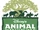 Disney's Animal Kingdom