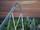 Orion (Kings Island)