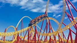 Serpent Dragon Sochi Park