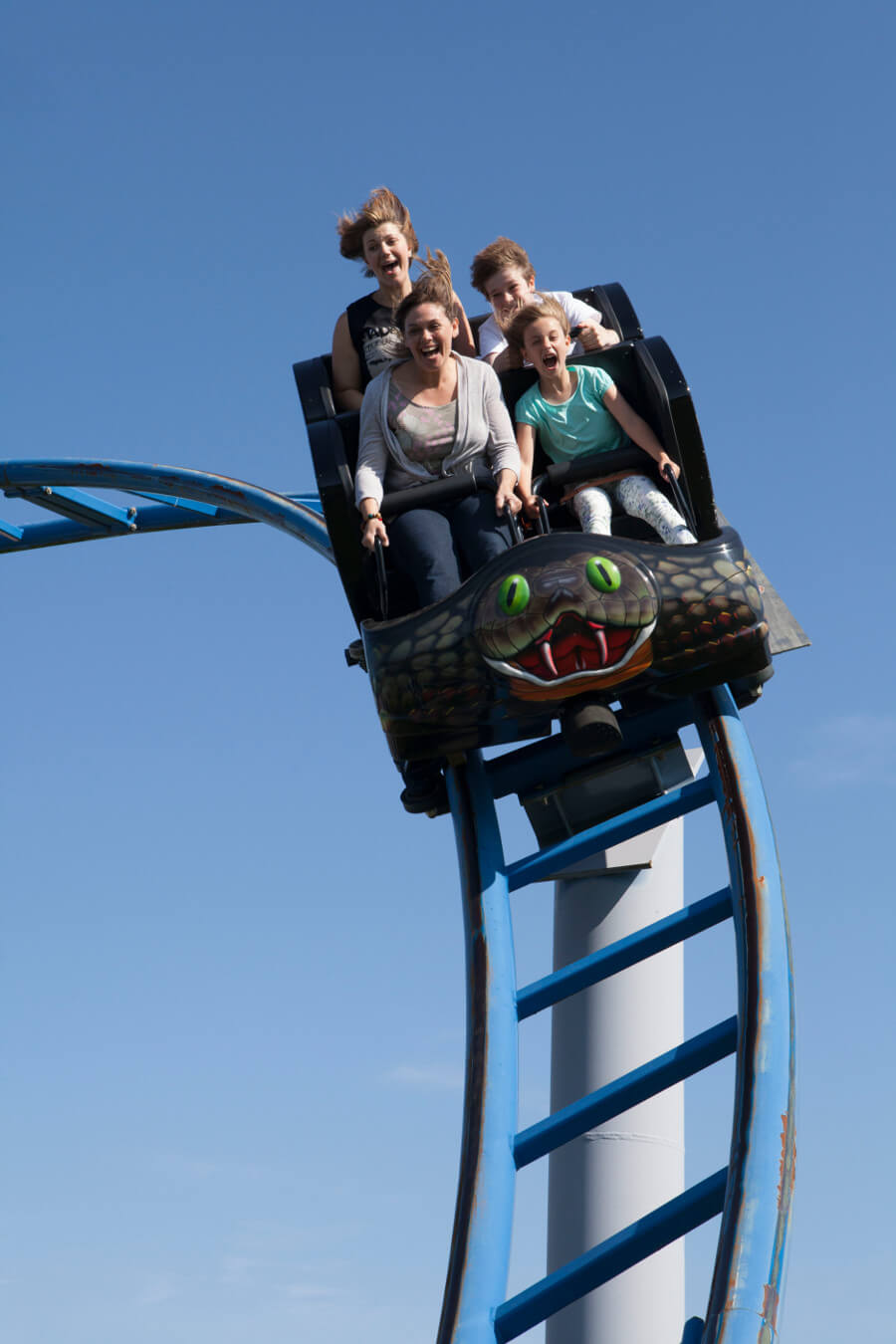 The Cobra Paultons Park Roller Coaster Wiki Fandom