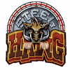 Steel Hawg logo