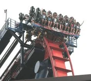 SheiKra's vertical drop