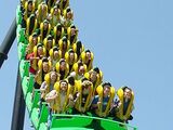 Stand-Up Roller Coaster