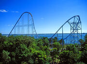 Millennium force 13