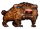 Hamster