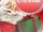 Coca-Cola Santa's Helper (Application)