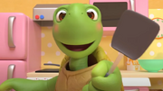 Tortoise