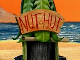Nut Hut