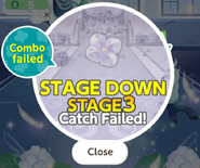 Stage Fail
