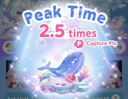 Peak Time