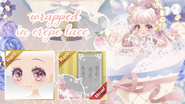 Promotion Banner