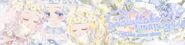 Sub-Banner