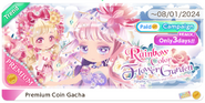 Rainbow Color Flower Garden's Display