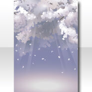 (Wallpaper/Profile) Full Bloom Sakura and Water Surface Wallpaper ver.A white